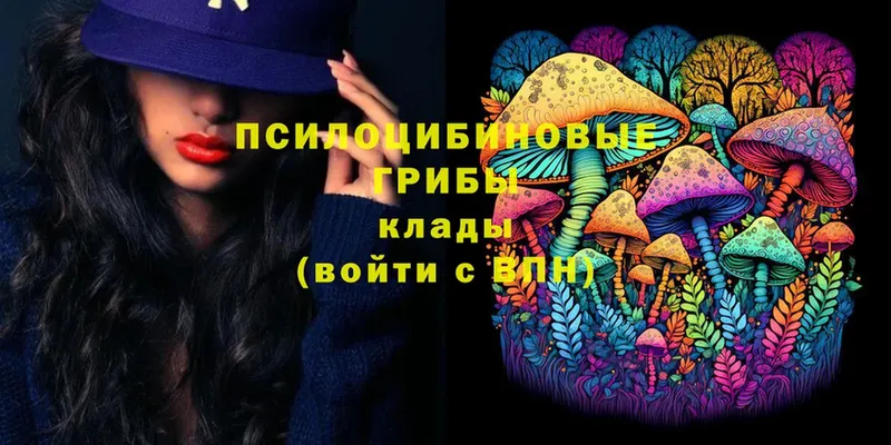 Псилоцибиновые грибы Magic Shrooms  KRAKEN ссылки  Ветлуга 